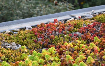the cost of Hawks Green green roof installation