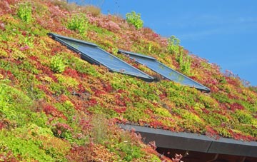 Hawks Green living roof systems